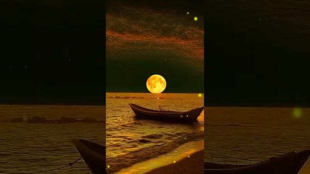 луна Video_2024-08-04_16-32-54