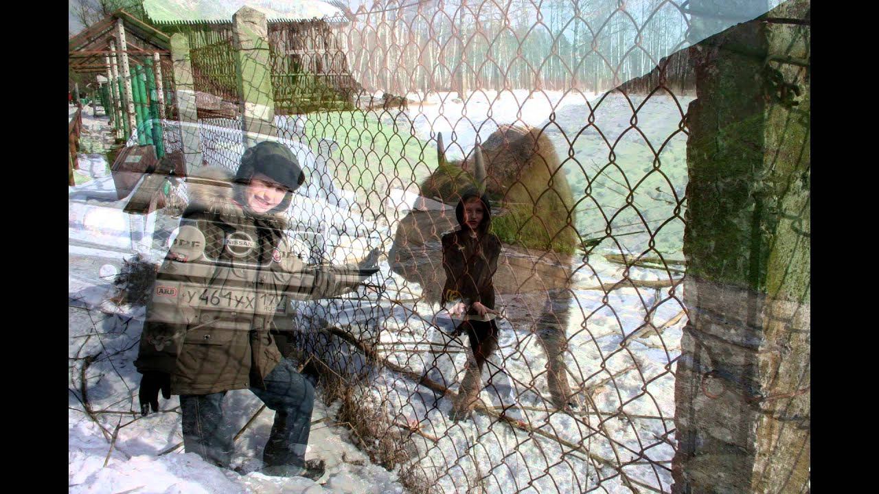 16 лет внуку! смотреть онлайн