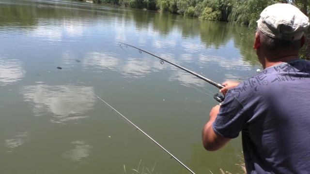 Рыбалка на карпа. Ловля карпа на поплавочную удочку. My fishing смотреть онлайн