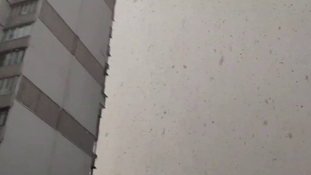 НАКОНЕЦ-ТО В КИЕВ ПРИШЛА ЗИМА смотреть онлайн