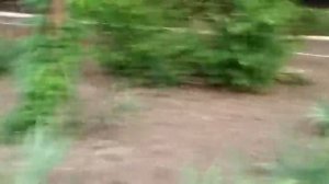 Санаторий Приморье Евпатория