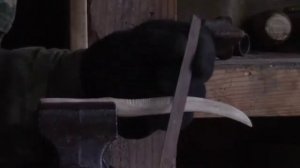 Нож из рога косули   ,эксперимент,