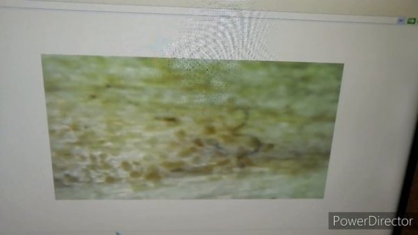 Обзор на Digital Microscope +тестирование! (V.S.)...