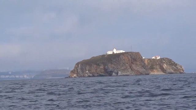 Море Владивостока. Прогулка на катере и рыбалка. Из солнца в туман. смотреть онлайн