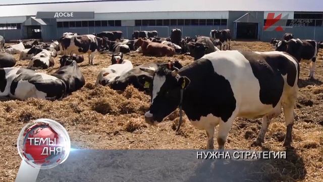 Темы дня (20.02.2021) 19:00 ФИКТИВНЫЕ МЕРЫ. К ЧЕМУ ВЕДУТ ПОПЫТКИ ВЛАСТЕЙ СНИЗИТЬ ЦЕНЫ НА ПРОДОВОЛЬС