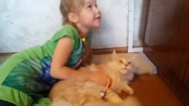 Как мейнкуны уживаются с детьми? смотреть онлайн