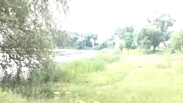 Откуда дровишки? смотреть онлайн