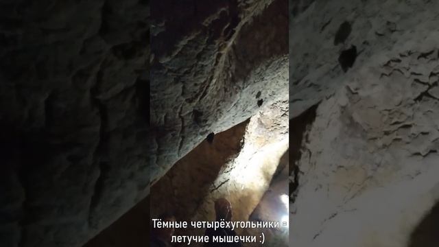 Путешествие в сказку: пещера, монастырь, осенний лес. Дряново, Бачо Киро, сердце осени. смотреть онлайн