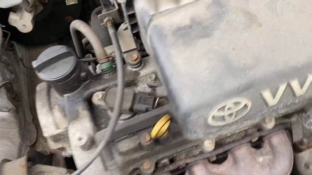 Разборка Toyota - Yaris 1999-2006, 1 (VIN: VNKJV18370A202247) PL03TJX смотреть онлайн