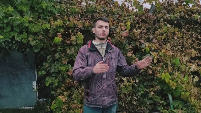 Уроки плотника, изготовление изделий из дерева. ЗНАКОМСТВО! смотреть онлайн