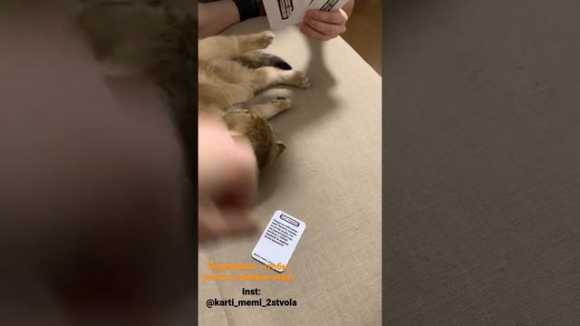 Настольная игра «Карты, Мемы, Два ствола» смотреть онлайн