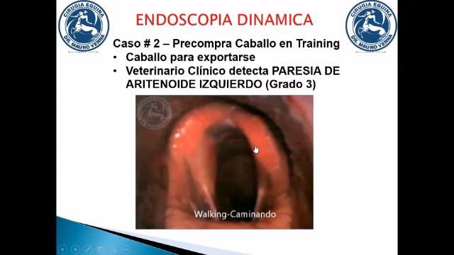 Charla de ENDOSCOPIA DINAMICA x Dr MAURO VERNA x zoom смотреть онлайн