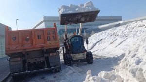 погрузка снега бобкат