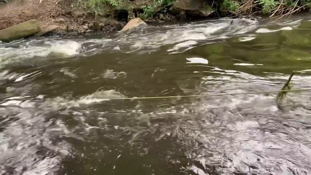 Как Окупить Поисковый Магнит за Один День? смотреть онлайн