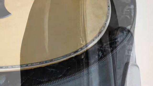 BOSTON DGB-565 | Affordable & Sturdy Guitar Bag! смотреть онлайн
