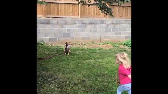 Theo law mower training смотреть онлайн