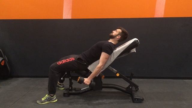 Biceps pronation sur banc incliné 45° смотреть онлайн