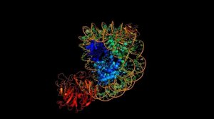 БОГ Существует - НАУЧНЫЕ ДОКАЗАТЕЛЬСТВА!!!