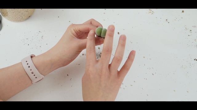 How I plant my Conophytum | The cutest plants on earth ?? [Eng Sub] смотреть онлайн
