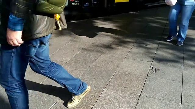 Стамбул. Турецкая собака. смотреть онлайн