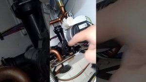 Протем рысь Конденсационный! Protherm lynx condens 30