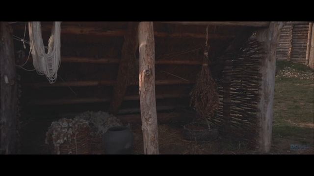 Беловежская пуща | Археологический музей | Белавежская пушча | смотреть онлайн