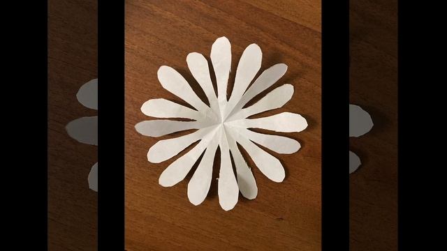 Акция «Белый цветок» смотреть онлайн