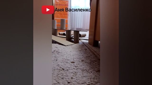 Кот Саймон прыгает через несколько рядов смотреть онлайн