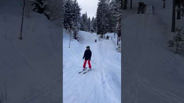 Экстремальной тренировки со взрослой группой! Учим справляться с любыми трудностями на склонах! смотреть онлайн