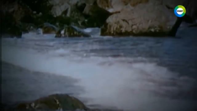 Ученые остолбенели обнаружив этих монстров в Черном море смотреть онлайн