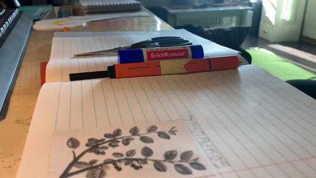 DIY: тетрадь для осенней прогулки (идея, воплощение, тест, результаты) (мама первоклассника Ep.1)