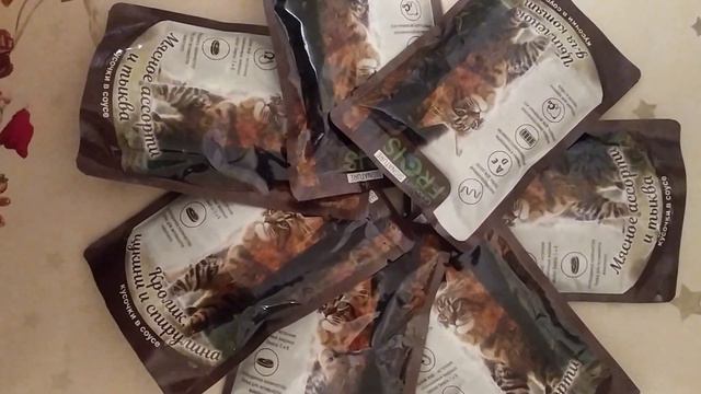 Влажный корм для кошек Frais! Видеообзор линейки кормов для кошек! Рекомендации Заводчика кошек! 😺 смотреть онлайн