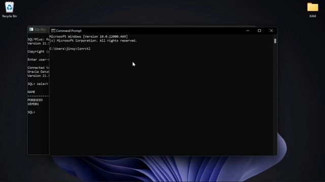 SQL Tutorial - How to install SQL Express Edition for free in Windows 11 - Configure Oracle SQL смотреть онлайн
