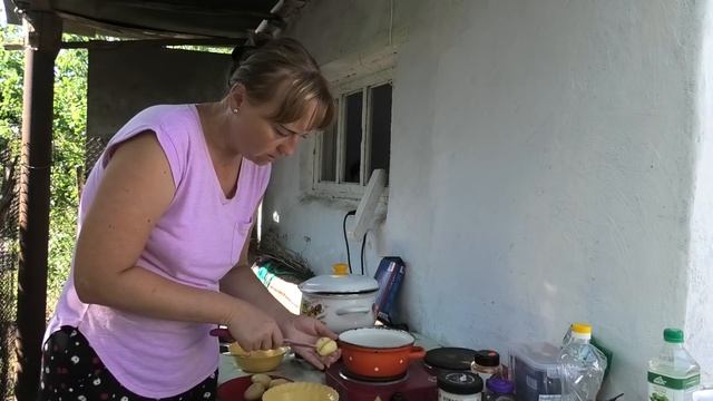 Нашла падаль...ЗАРЫТА СОБАКА? Рулька, Помидоры на зиму, Электрика в летнем душе, Жизнь в деревне смотреть онлайн