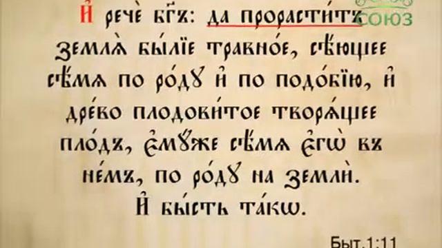 3.4.15. Желательное наклонение смотреть онлайн