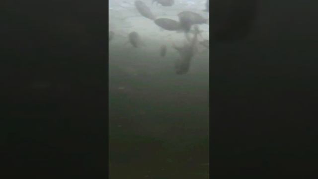 Что можно сделать? смотреть онлайн