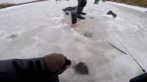 Пассивный КАРАСЬ не устоит / Ловля карася зимой со льда / Зимний карась