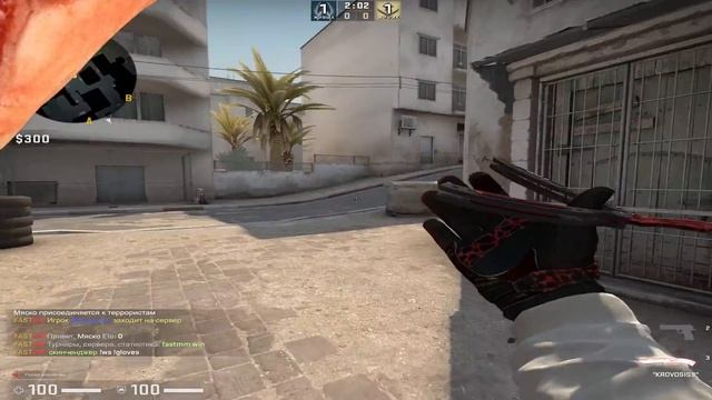 МЯСНИК против WLG в Cs:go !