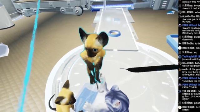 Kitten'd PSVR | Move Controllers (1080p60fps) смотреть онлайн