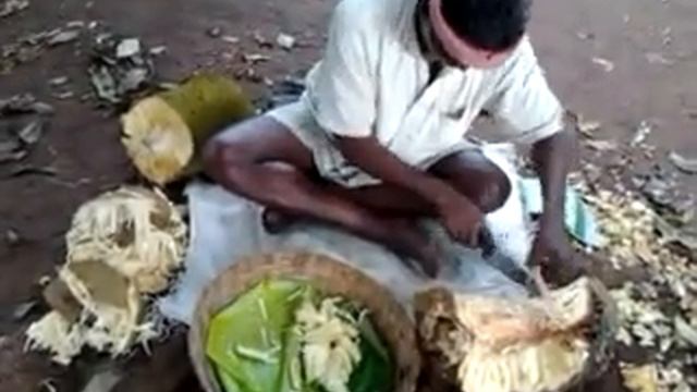 How to cut and serve a Jack-fruit. (At Kolli hills) смотреть онлайн