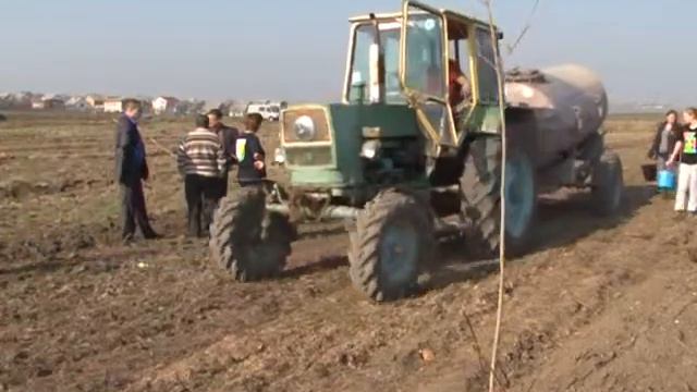 Положение о защите зеленых насаждений смотреть онлайн