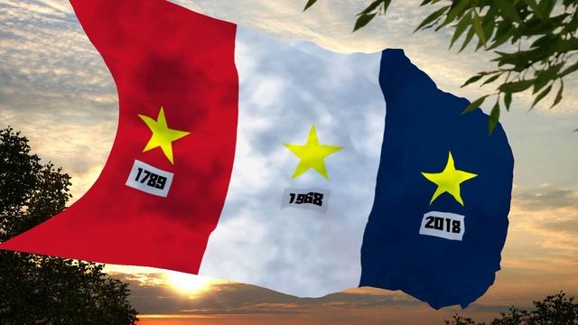 Флаг и марш Жёлтых жилетов Flag and march of the Yellow Vests смотреть онлайн