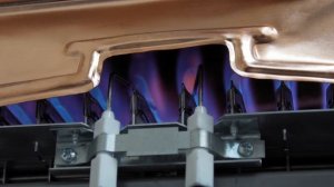Обзор проточных газовых водонагревателей BaltGaz серии Comfort