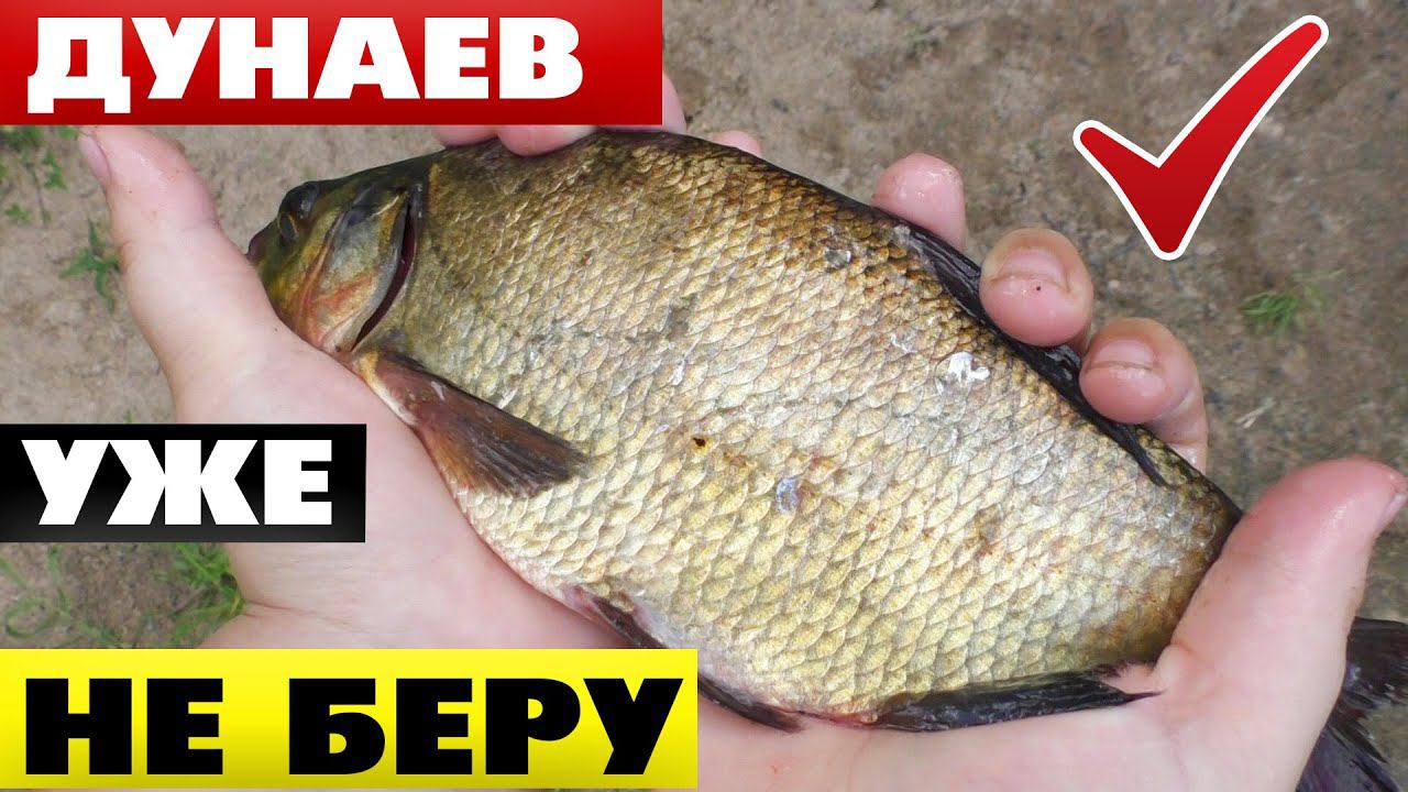 Супер прикормка для Леща своими руками с секретной добавкой! ДУНАЕВА больше не беру смотреть онлайн