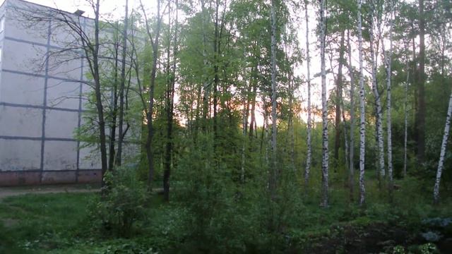 Видео #1/Природа\Вид из окна/ смотреть онлайн