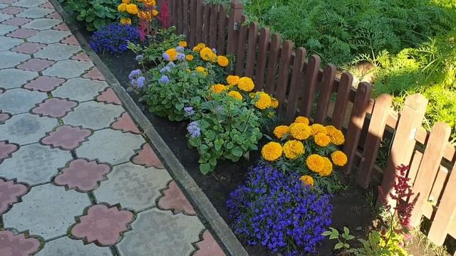 Обзор сада.Август 2022г. смотреть онлайн