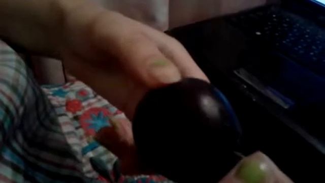 Убийство сливы смотреть онлайн