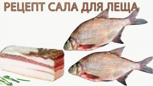 Рецепт сала для ловли леща
