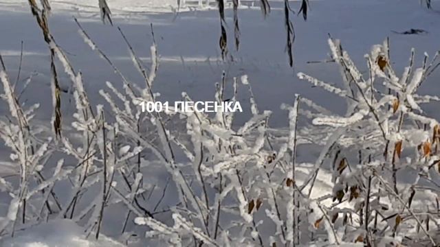 П. ЧАЙКОВСКИЙ. КЛАССИКА - Путешествие по Новогодней Елке смотреть онлайн