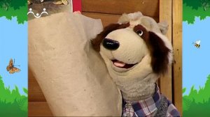 Утро в Шишкином Лесу. Зимний сад. Бегония